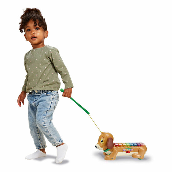 VTech Timmie Teckel Xylofoon