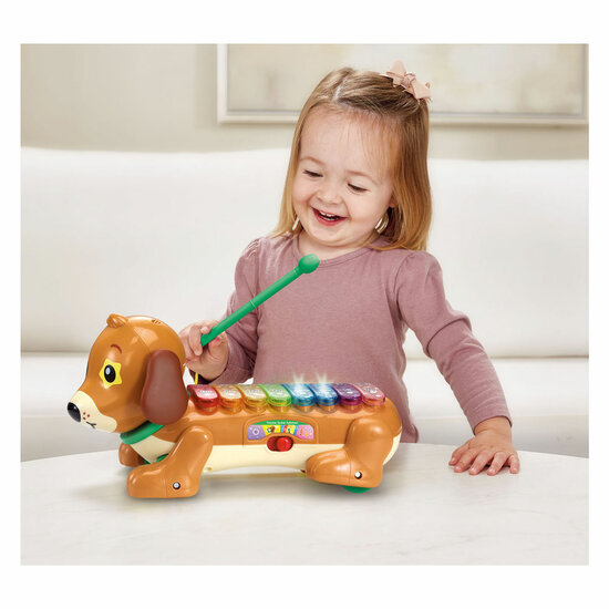 VTech Timmie Teckel Xylofoon