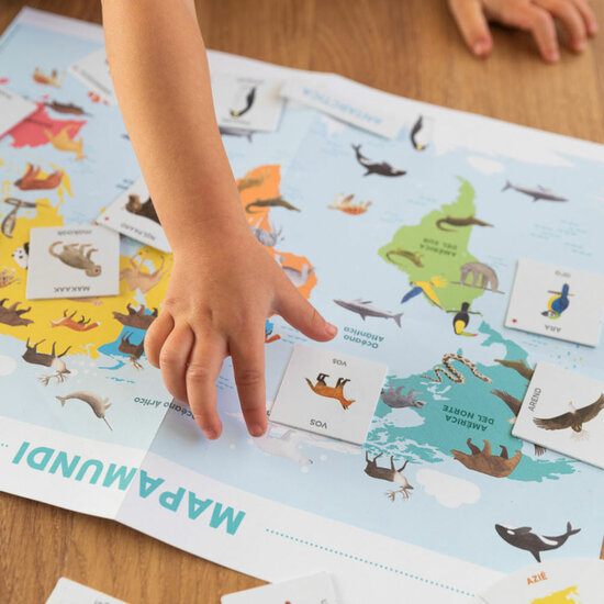 Jumbo Ik Leer Ontdekken Dieren Educatief Spel - Foto 9