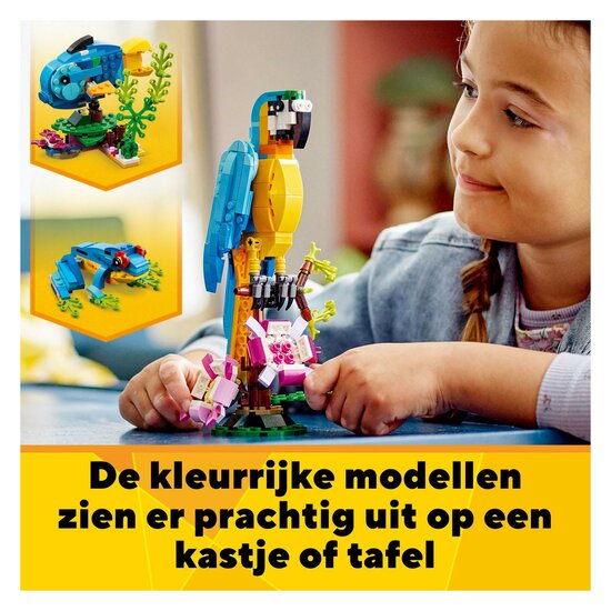 LEGO Creator 31136 Exotische Papegaai - Foto 14
