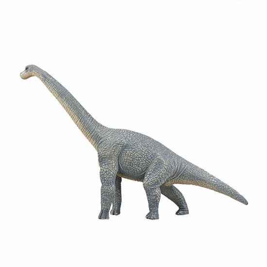 Mojo Prehistorie Brachiosaurus - 387044 - Foto 5