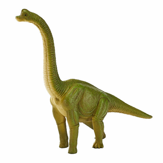 Mojo Prehistorie Brachiosaurus - 387212 - Foto 5