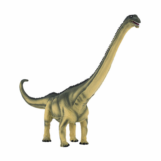 Mojo Prehistorie Deluxe Mamenchisaurus - 387387 - Foto 5