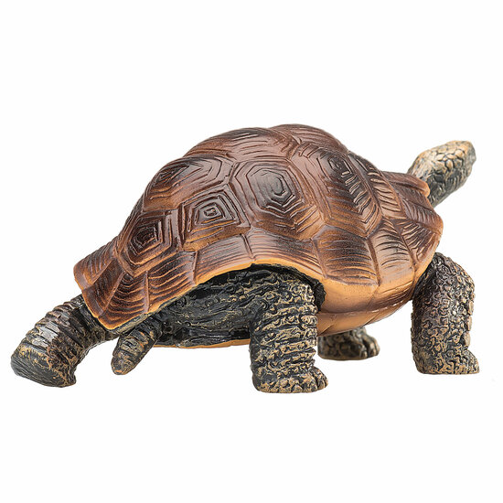 Mojo Wildlife Reuzenschildpad - 387259 - Foto 5