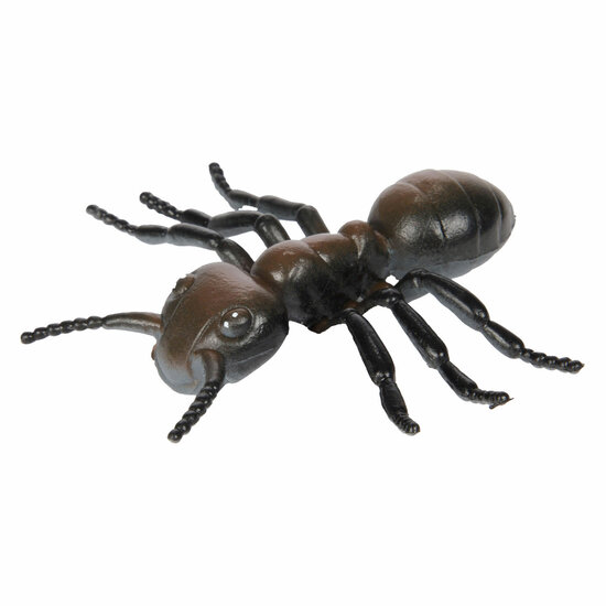 Animal World Grote Griezel Insect - Foto 5
