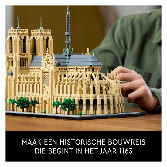 LEGO Architecture 21061 Notre-Dame van Parijs - Foto 8