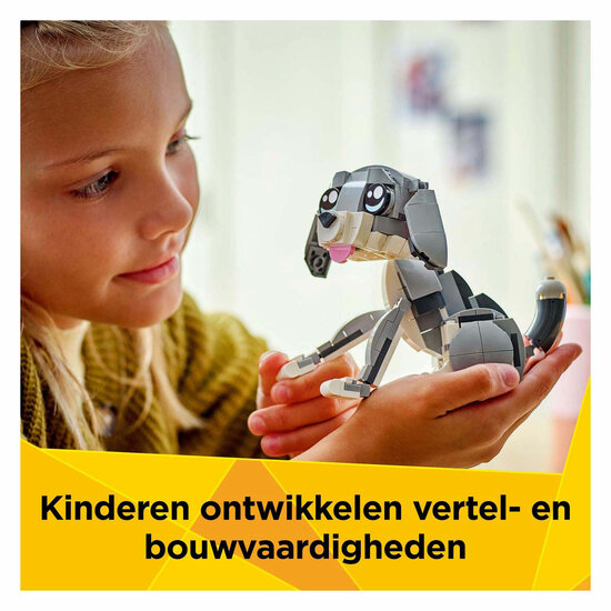 LEGO Creator 31163 Speelse Kat - Foto 9