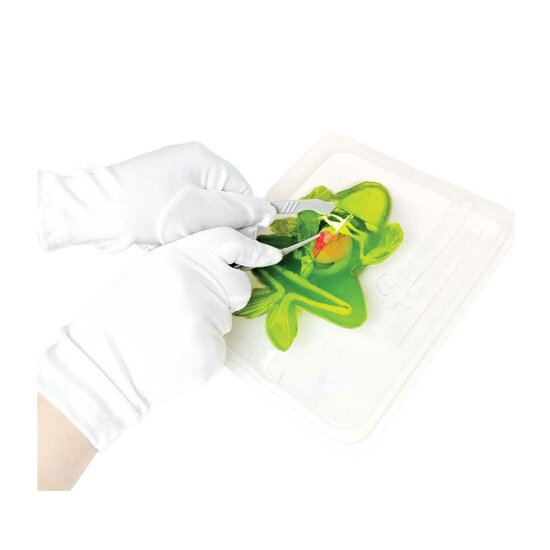 Slimy Lab DISSECT-IT - Ontleed een Kikker - Foto 5