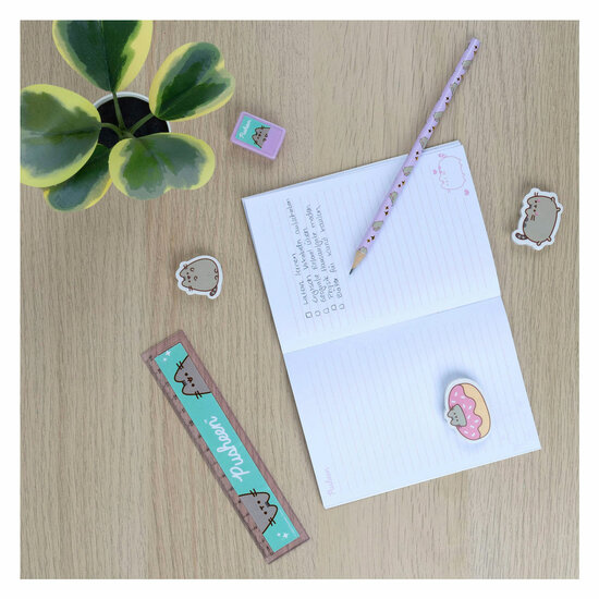 Notitie Set in Etui Pusheen the Cat