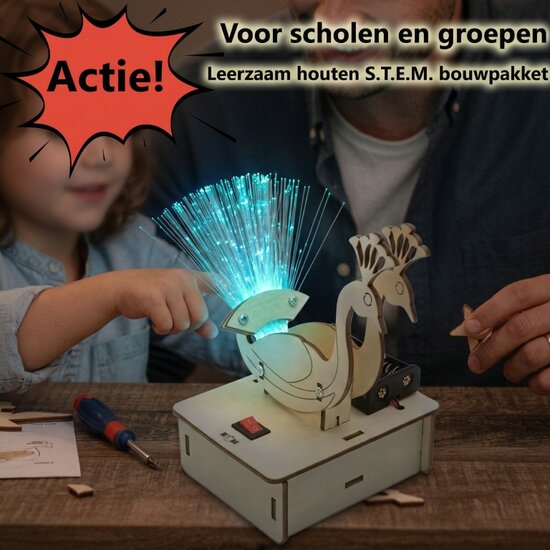 Houten bouwpakket lichtvezel pauw