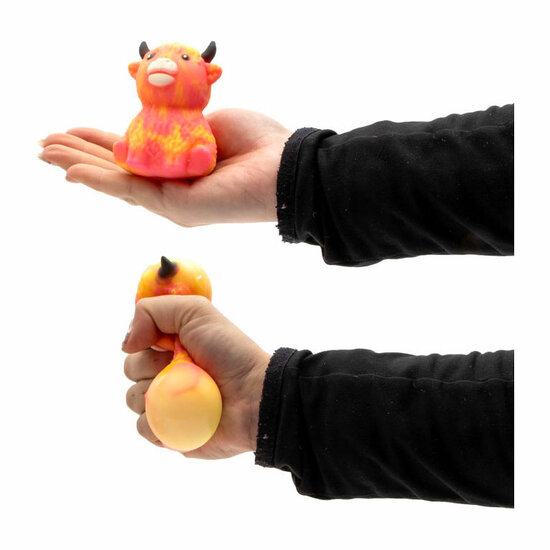 Squeeze Gekleurde Highland Koe