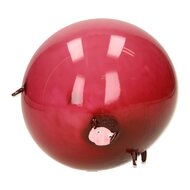 Ballon Bal Dieren