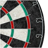 Master Darts Klassiek Dartbord