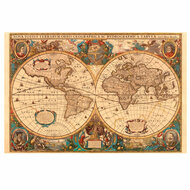 Antieke wereldkaart, 5000st.