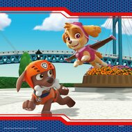 PAW Patrol Puzzel - Helden met Vacht, 3x49st.