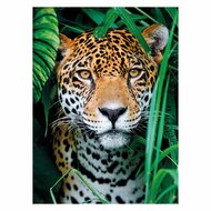 Clementoni Puzzel Jaguar in de Jungle, 500st.