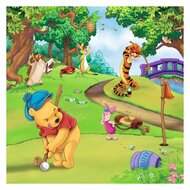 Disney Winnie de Poeh Sportdag, 3x49st.