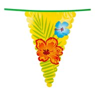 Hawa&iuml; Vlaggenlijn XL, 6mtr.
