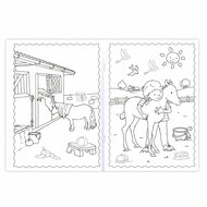 Plakken en Kleuren - De leukste Paarden en Pony&#039;s, 4-6 jaar