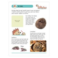 Stickerboek - Dieren in Huis en Tuin