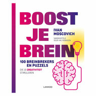 Boost je Brein - 100 Breinbrekers &amp; Puzzels - Creativiteit