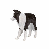 Mojo Farmland Border Collie - 387203