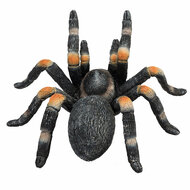 Mojo Wildlife Rode Tarantula - 387213