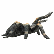 Mojo Wildlife Rode Tarantula - 387213