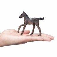 Mojo Horse World Arabisch Veulen Zwart - 381015