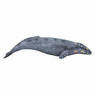 Mojo Sealife - Grijze Walvis 387280