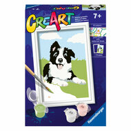 CreArt Schilderen op Nummer - Border Collie