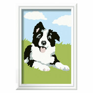 Ravensburger CreArt Schilderen op Nummer - Border Collie