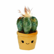 Take Me Home Knuffel Plant Pluche - Cactus