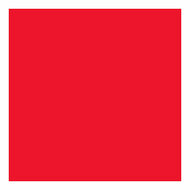 Tissuepapier Rood 10 Vellen 14 gr, 50x70cm