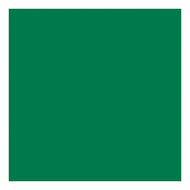 Tissuepapier Groen 10 Vellen 14 gr, 50x70cm