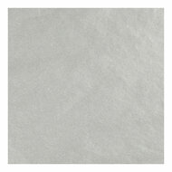 Tissuepapier Zilver 6 Vellen 14 gr, 50x70cm