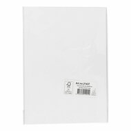 Karton Wit A4 210-220g, 10 Vellen