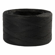 Papier Raffia Garen Zwart, 100m
