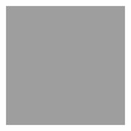 Schmink Pearlised Platinum, 20ml