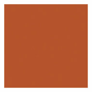 Outdoor Verf - Antique Red, 250ml