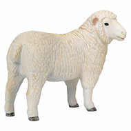 Mojo Farmland Romney Schaap Ooi - 381064