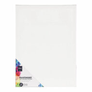 Schilderset met Canvas, Verf en Penselen