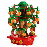 LEGO Iconic 40648 Geldboom