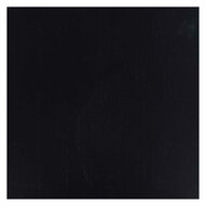 Ecola Plakkaatverf Fles 16ml Zwart 700