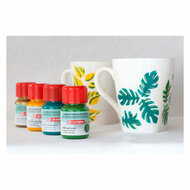 Talens Art Creat.Glas &amp; Porselein Dekkend 4x30ml Groen Goud