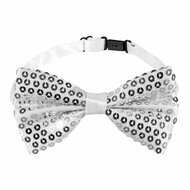 Accessoireset Zilver