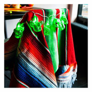 Poncho Diego