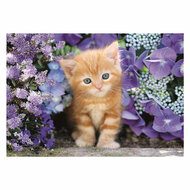 Clemetoni Legpuzzel Ginger Cat, 500st.