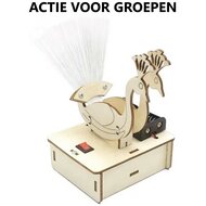 Houten bouwpakket lichtvezel pauw