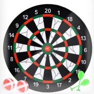 Dartbord Klittenband met 3 Pijltjes